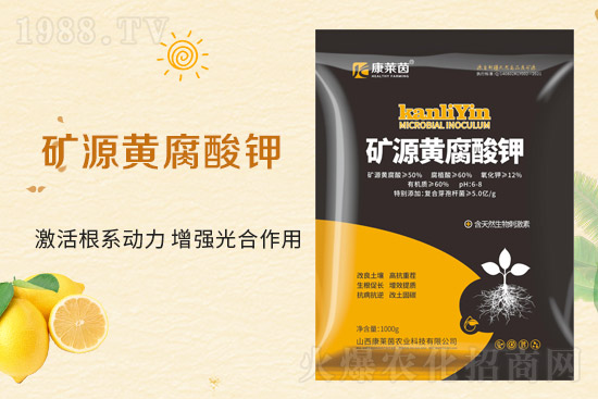 �r���Wϲӭ�����������R��ɹ����s1988.TV��