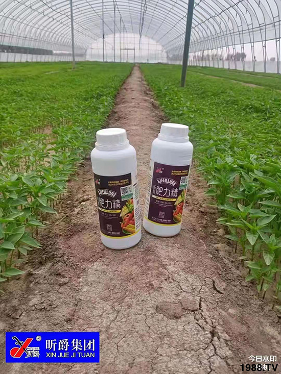 �����仨����������Ͳ��ü������l(f��)�������ٻ����������E���@��