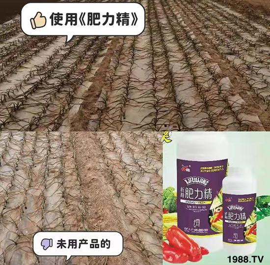 �����仨����������Ͳ��ü������l(f��)�������ٻ����������E���@��