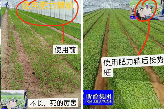 �����仨����������Ͳ��ü������l(f��)�������ٻ����������E���@��