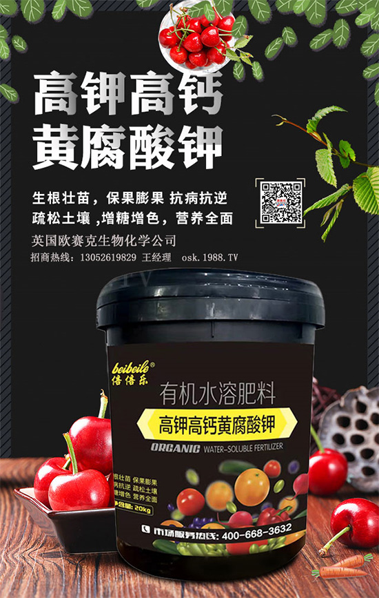 һ���S�����=�����������������ЙC(j��)�����S����⛞�����������