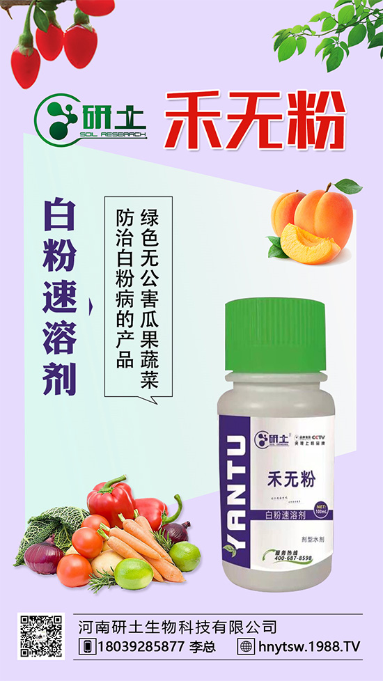 ���Ѱ׷۲��������l(f��)���������ֱ�׷۲���