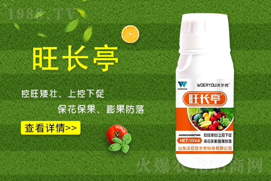 ʲô���S�����L���S�����L�ķ��ش�ʩ