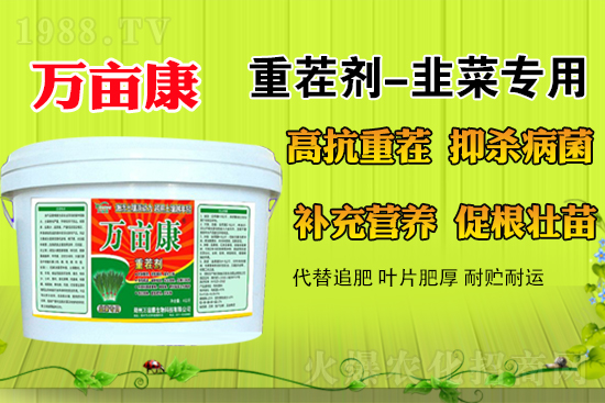 �²�ʲô�r(sh��)��N�����m������¶�ؾ²˹���������ע�����(xi��ng)