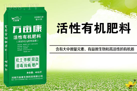 大豆高產(chǎn)施什么肥？如何施肥能增效？