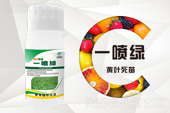 �����߲������ʲô������������ô��Q��