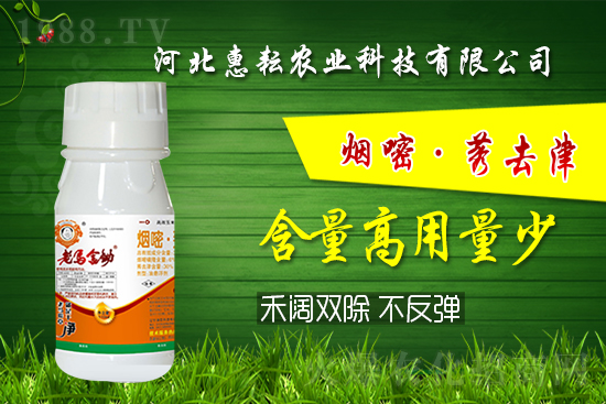 封殺雙效！禾闊通除！玉米田除草記住這個(gè)配方就夠了! 