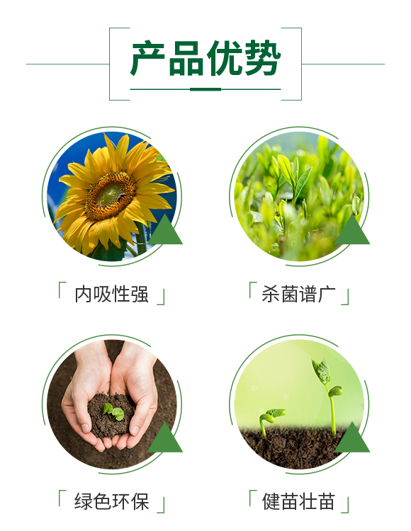 ��̖�r�I(y��)872980_04