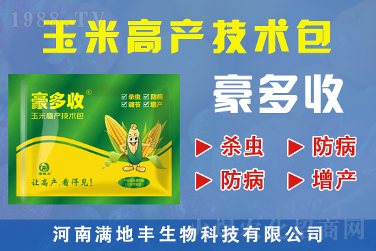 �M(m��n)���S����