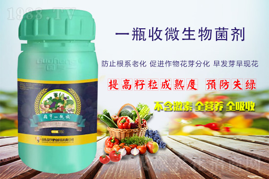 火爆農(nóng)化網(wǎng)喜迎新盟友，攜手國(guó)亨肥業(yè)共走財(cái)富之路！