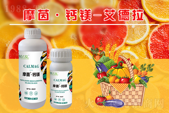 �����a(b��)�}�S���ځ�(l��i)��������a(b��)���}�V����