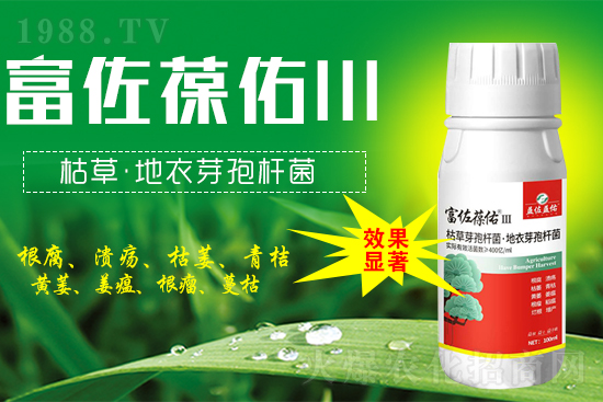 2022年4月19日福美鋅農(nóng)藥價(jià)格