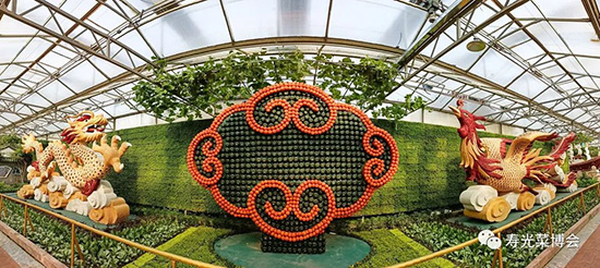 �ڶ�ʮ���É۹�˲���5