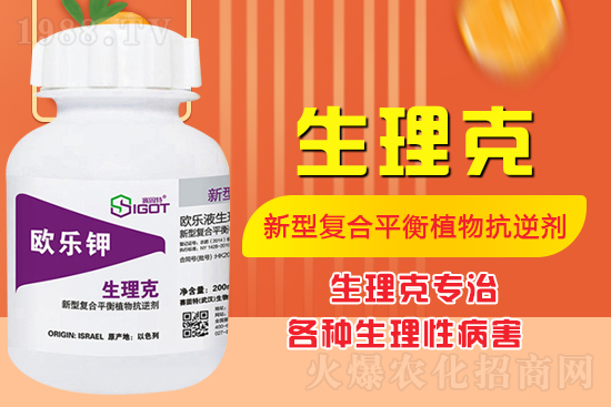 ����Ě������ʲô�Y���ô��Q����Ě������