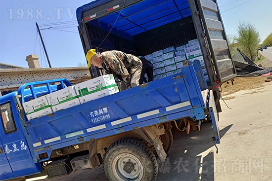 ���N��Ʒ����(sh��)���S�ң�����2̖(h��o)�l(f��)؛��ͣЪ