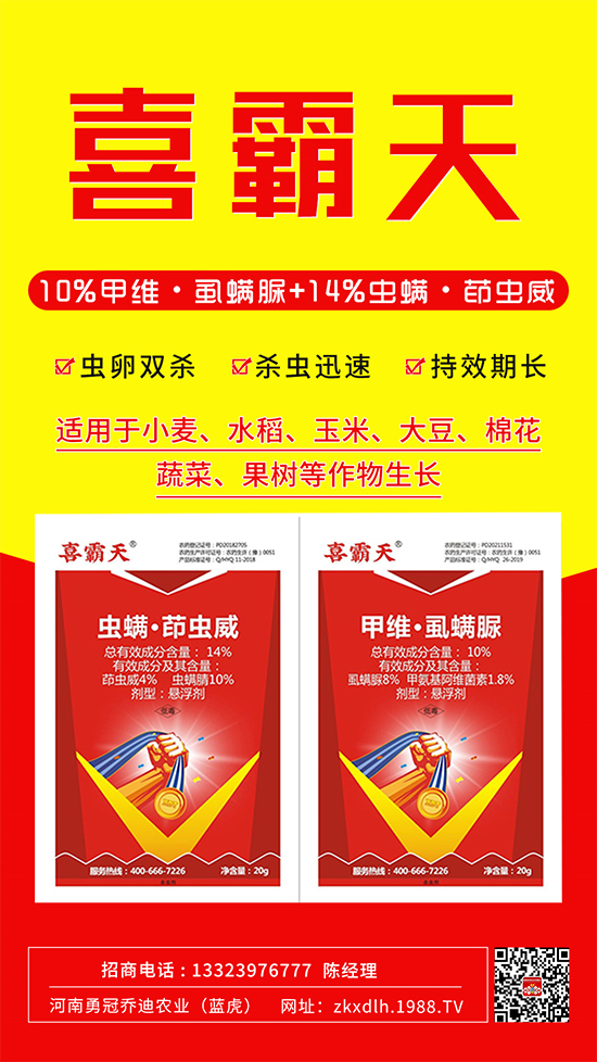 小菜蛾、菜青蟲危害重太難打？這樣用藥！一打一個準!