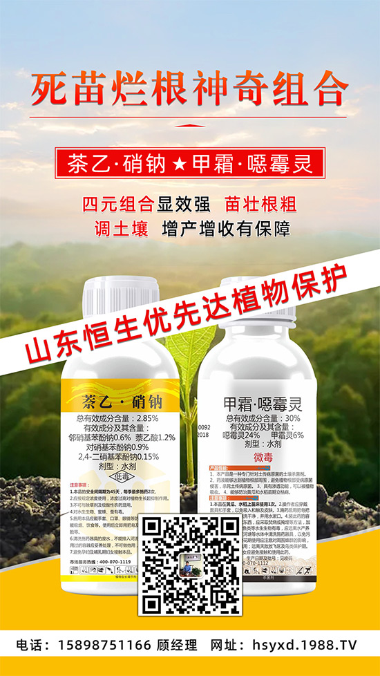 根腐、立枯、死苗爛根導(dǎo)致作物的“元兇”！這樣防治輕松搞定！