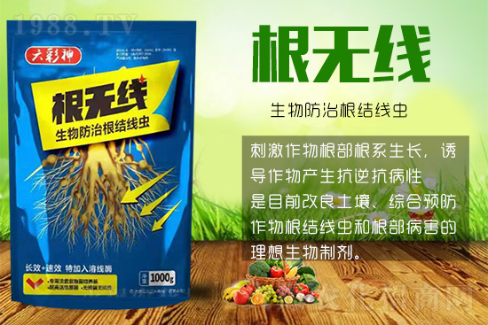 根結(jié)線蟲(chóng)殺死容易殺絕難！這樣防治效果好到驚人！