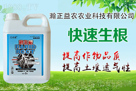 作物根系決定作物產(chǎn)量！這樣做，根系發(fā)達(dá)，白根多，用肥少！