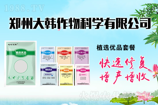 作物藥害肥害頻發(fā)怎么辦？發(fā)生藥害肥害如何補救？