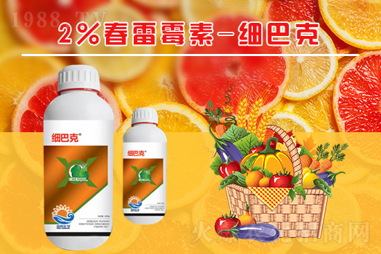 番茄潰瘍病怎么辦？聽(tīng)聽(tīng)專家怎么說(shuō)！