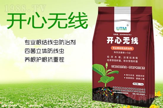 根結(jié)線蟲危害大？線蟲防治意見匯總！