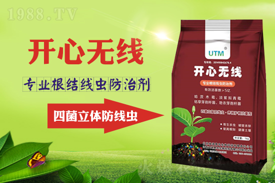 根結(jié)線蟲危害大？線蟲防治意見匯總！