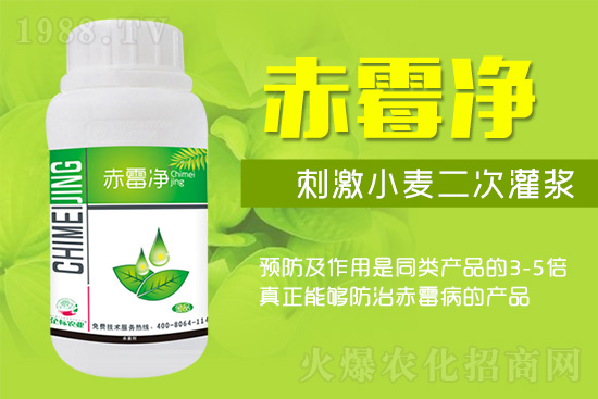 緊急提醒：未來十天是小麥赤霉病防治關(guān)鍵期！務(wù)必抓住！