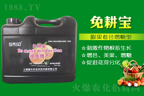 ���Ѵ߼t��ʩ��ô������ʲô������