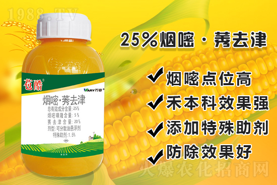 ���׳������e���@�׷N���݄���