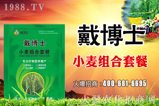 С���߮a�ײ�