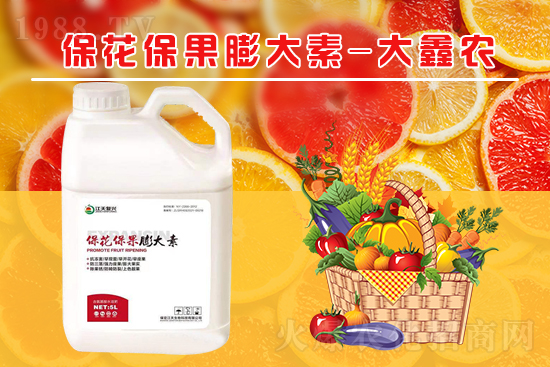 �ļ���������ٲ�������α��������