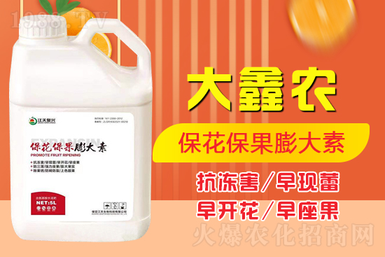 �ļ���������ٲ�������α��������