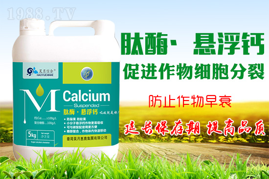 �O(p��ng)����(sh��)�����a(b��)�}���P(gu��n)�I���O(p��ng)���a(b��)�}���Ă�(g��)�`�^(q��)��֪������