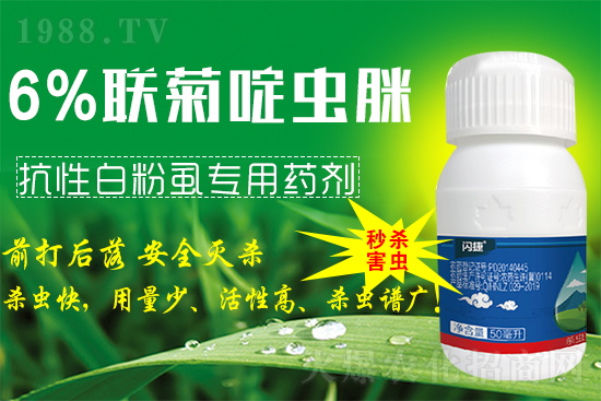 ϲ����1988.TVϲӭ���������̎��r�I(y��)���݁��u��