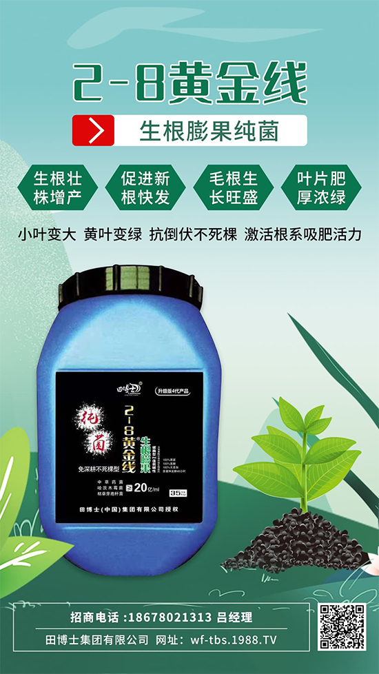 ���Ƿʵ������f(w��n)�����L(zh��ng)����ϵ�����ﱬ�l(f��)����ԇԇ�@һ��! 