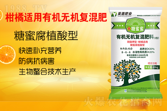 柑橘施肥常見的誤區(qū)有哪些?柑橘如何科學施肥呢?