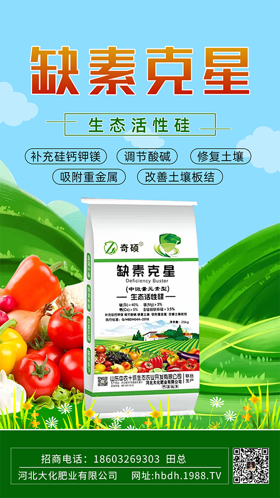 �ӱ��󻯷ʘI(y��)���޹�˾13