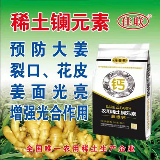 ϡ����Ԫ���}