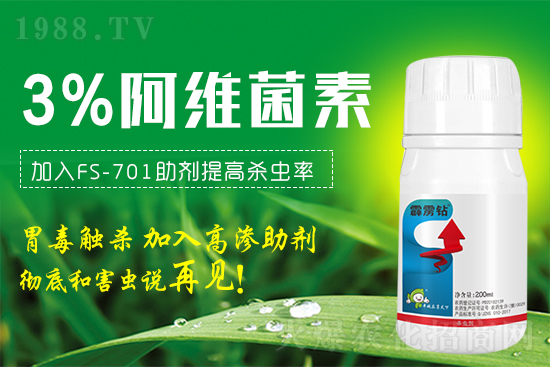 �@���x�����x���t֩�������x�β����������@�����䷽