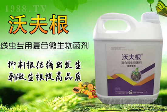 ���Y(ji��)���x��Ⱦ���������������У�������Ч����!