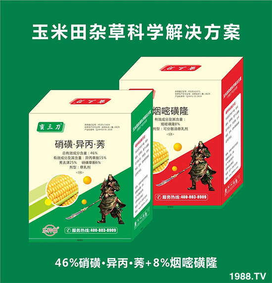     ���׻������ļ�����Ҫ�r(n��ng)�������Nֲ��e�󣬮a(ch��n)������Ч��������s�ݷ��΅s���r(n��ng)������ʮ���^�����Ⱥ���ˎ�����ֺ��·���Ч��������