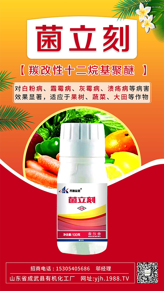 葡萄霜霉病還是白粉病？別再傻傻分不清了！如何分辨及防治？