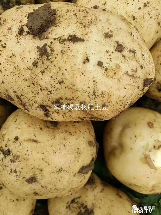 ɽ�|܊��̼������Ƽ����޹�˾27