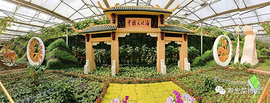 �ڶ�ʮ���É۹�˲���3