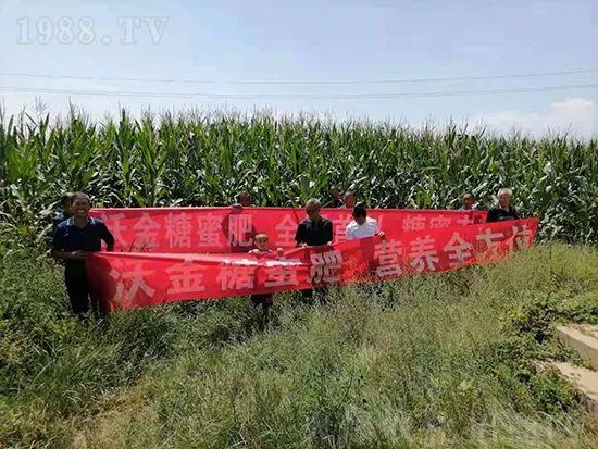     �@�����۷��r(n��ng)�YȦ������ԭ����Ȼ���ͳɱ��߷�Ч�_��(chu��ng)����