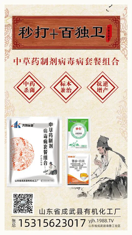 “植物癌癥-病毒病”被攻克了！純中草藥“殺菌霸主”