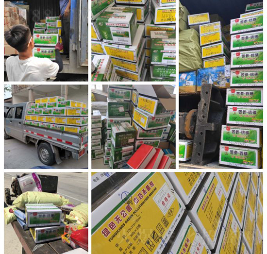 “植物癌癥-病毒病”被攻克了！純中草藥“殺菌霸主”