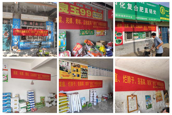 “植物癌癥-病毒病”被攻克了！純中草藥“殺菌霸主”