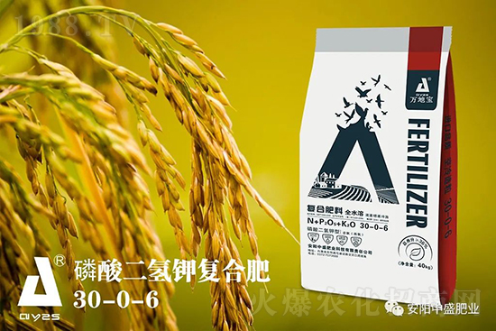 水稻分蘗不好對(duì)產(chǎn)量有多大影響？促進(jìn)水稻分蘗怎么做？